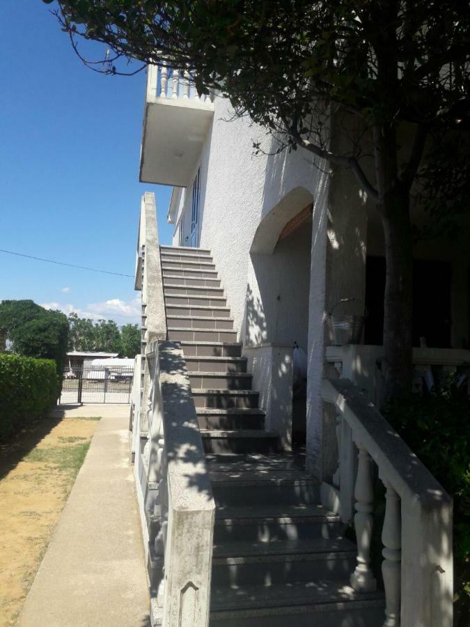 Apartment Zdenka Povljana Exterior foto